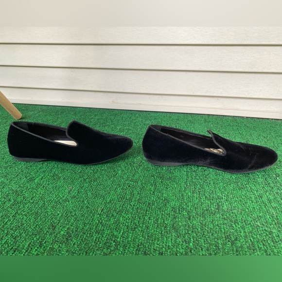 New, Birdies Starling in Black Velvet! - Picture 4 of 9